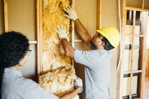 Best Eco-Friendly or Green Insulation Solutions  in Bala Cynwyd, PA